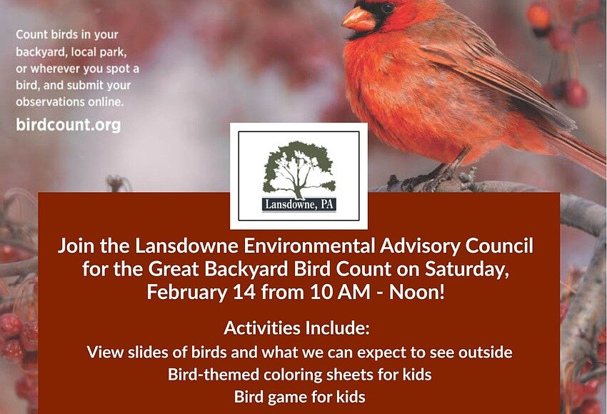 Valentine’s Day is ‘for the birds’ in Lansdowne Borough